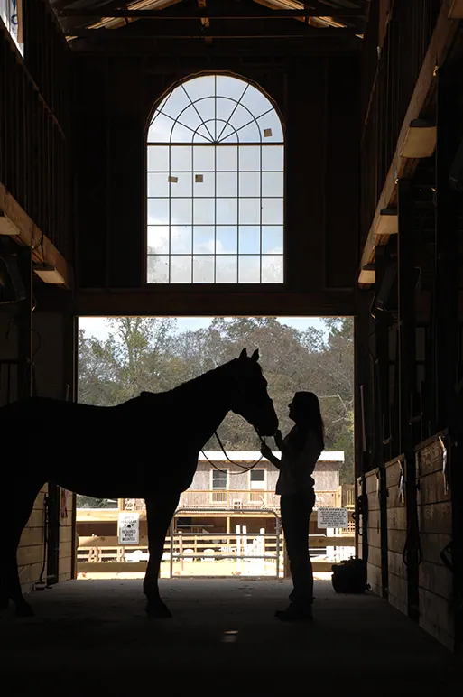 Silhouette of a senior girl with her horse in an arched barn doorway