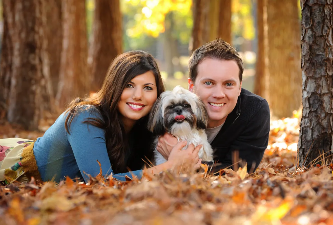 Couple lying in autumn leaves with their Shih Tzu