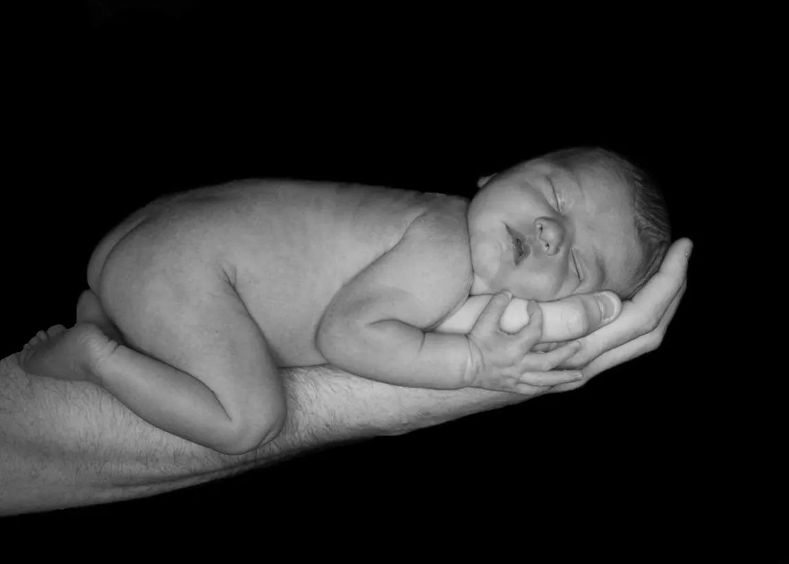 Black-and-white newborn sleeping curled in a parent's hands